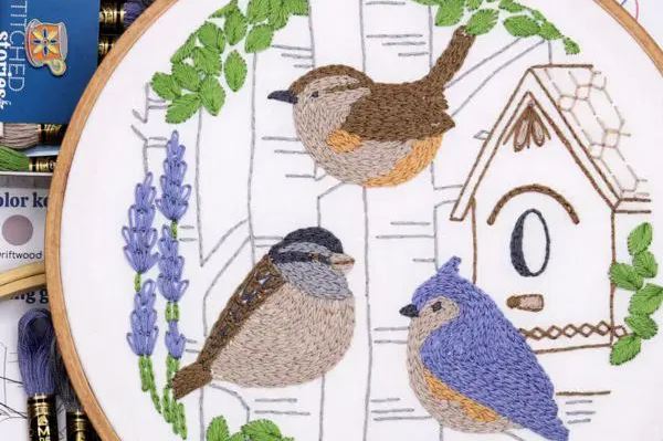 Small Birds Small Birds