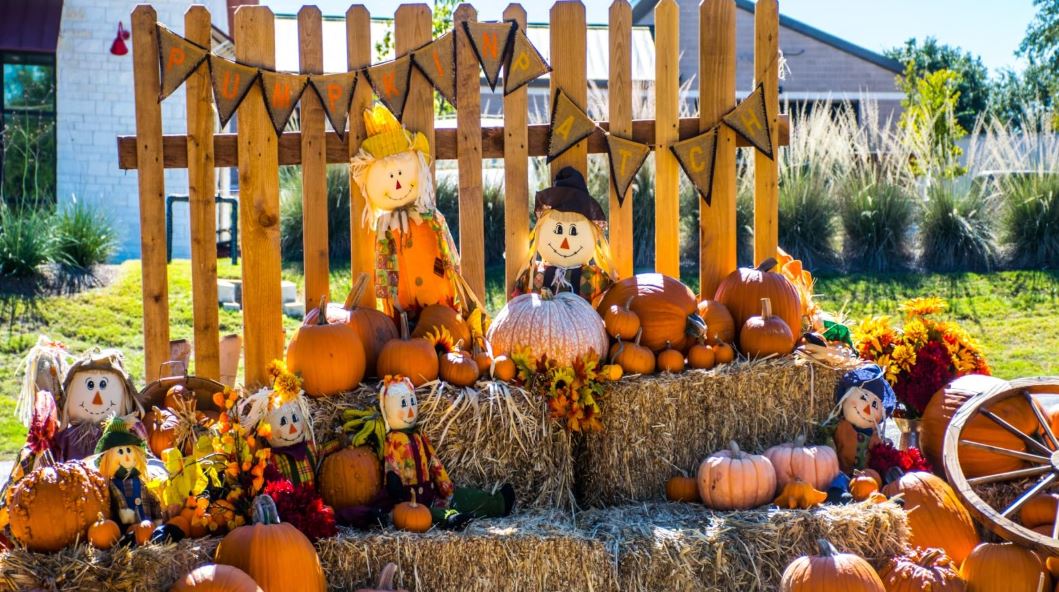 Pumpkin Patch Party