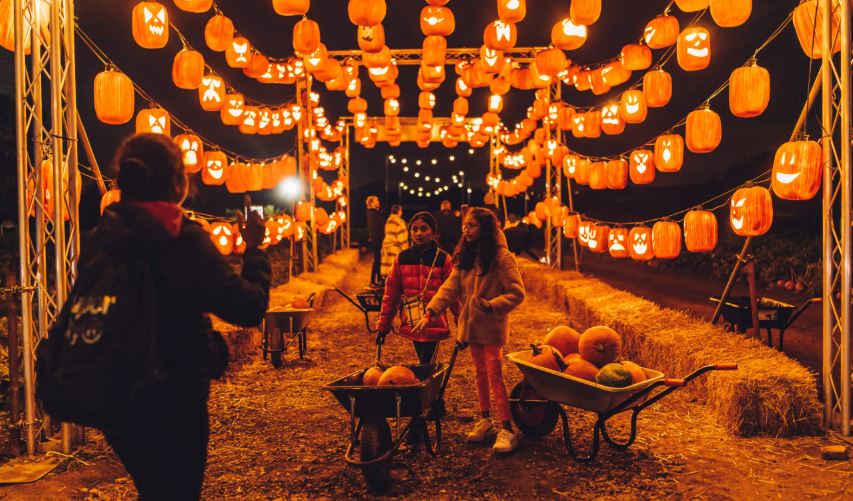 Best Halloween Activities